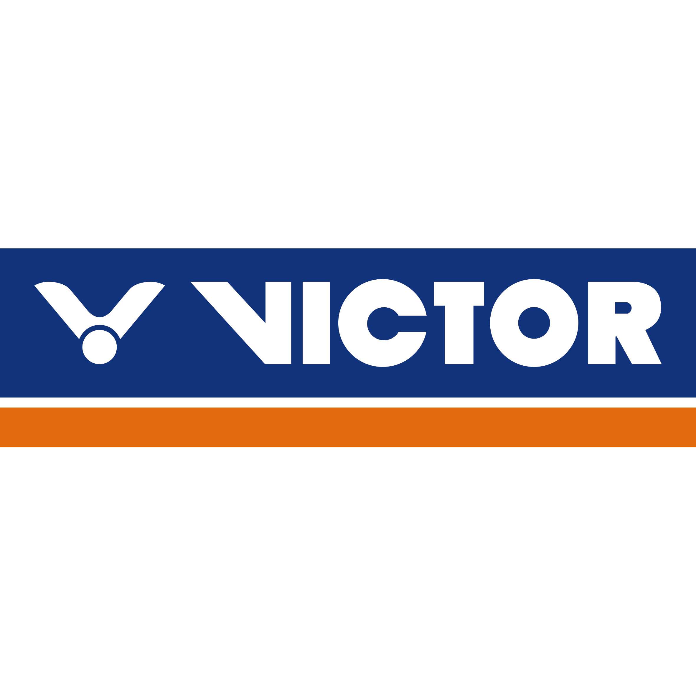 VICTOR威克多网羽专卖店的LOGO