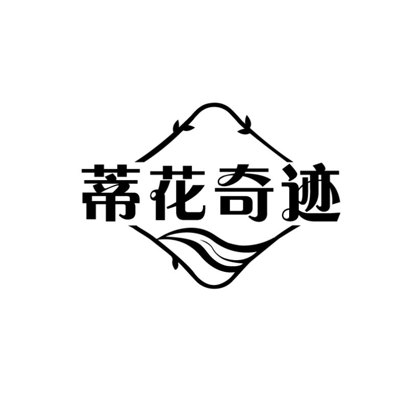 蒂花奇迹旗舰店
