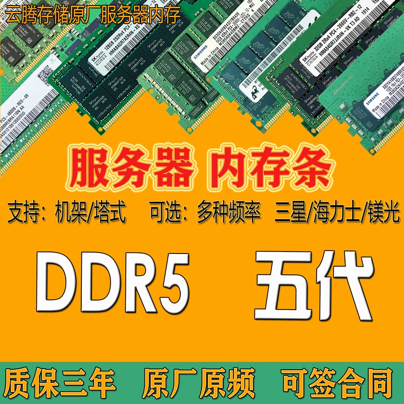 Samsung Sk Micron Ddr5 16g 32G48G64G 4800 5600 6400 Server Memory Module Recc
