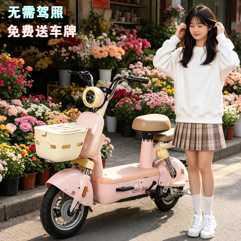 New Model of Electric Bicycle According to the New National Standard, Small Electric Vehicle for Adult Women, Women's Electric Scooter, 48V Metaverse Bike