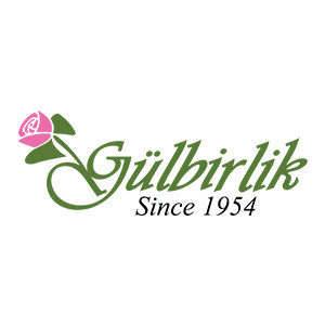 GULBiRLiK旗舰店的LOGO