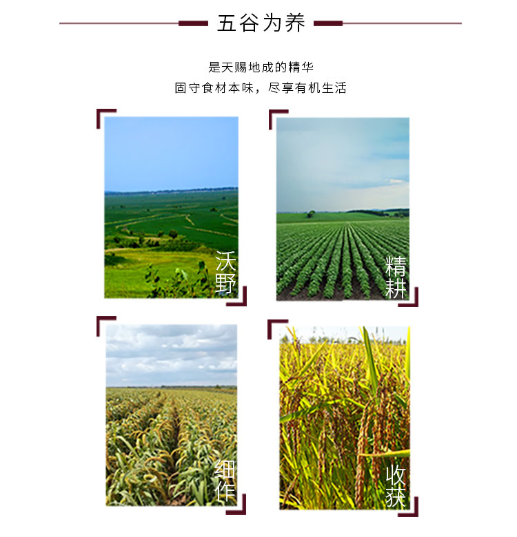 安享好物 安享A级大豆油-生态小镇有机 黑大豆油  