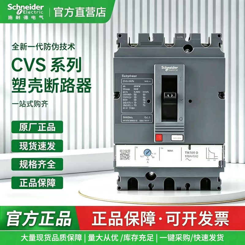 Schneider Cvs100F Plastic Case Circuit Breaker 3P Fixed Type 36Ka 630A 100A 160A 250A 400A Schneider Cvs100F Plastic Case Circuit Breaker 3P Fixed Type 36Ka 630A 100A 160A 250A 400A