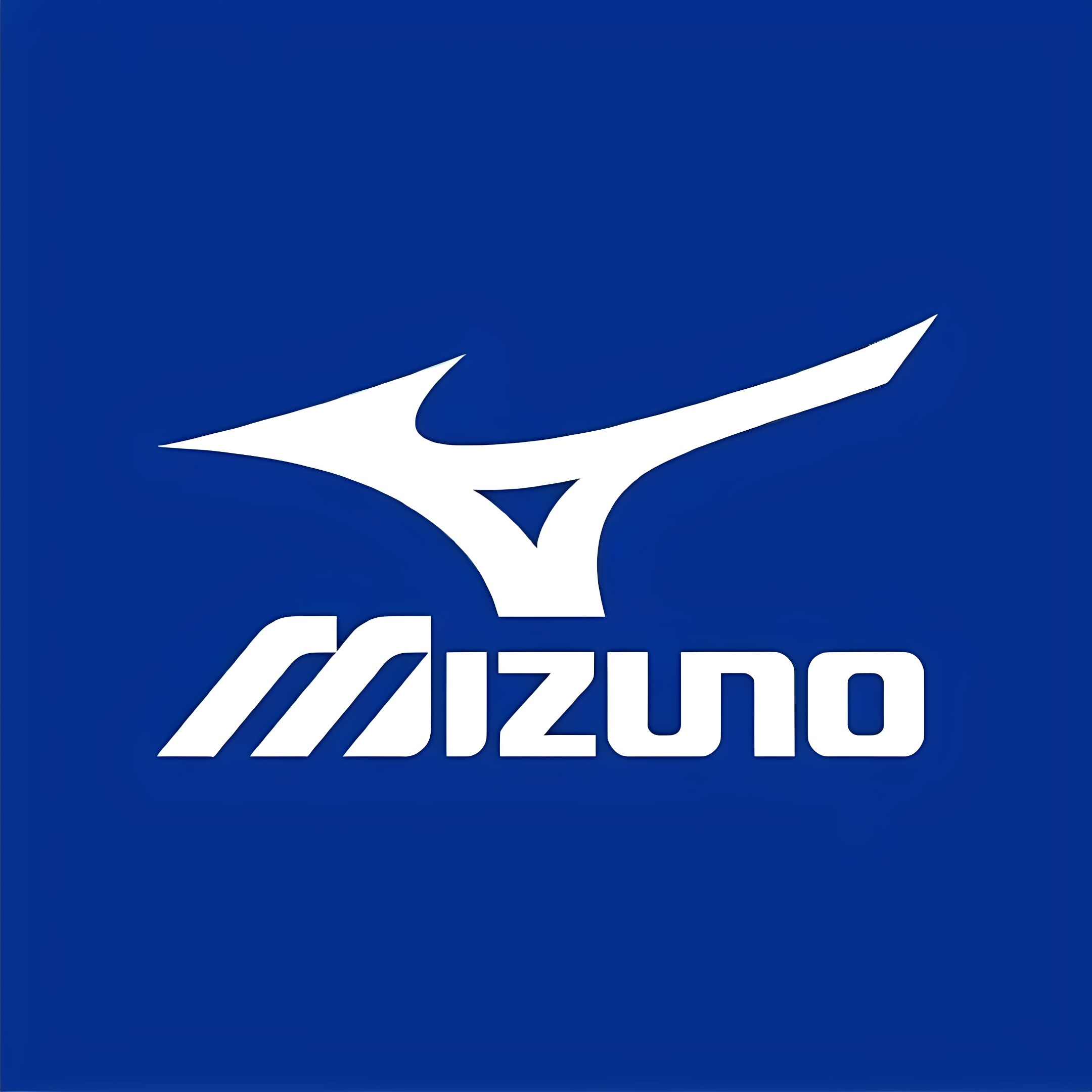 美津浓冲耶专卖店