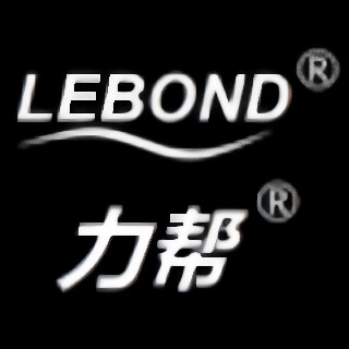 力帮旗舰店
