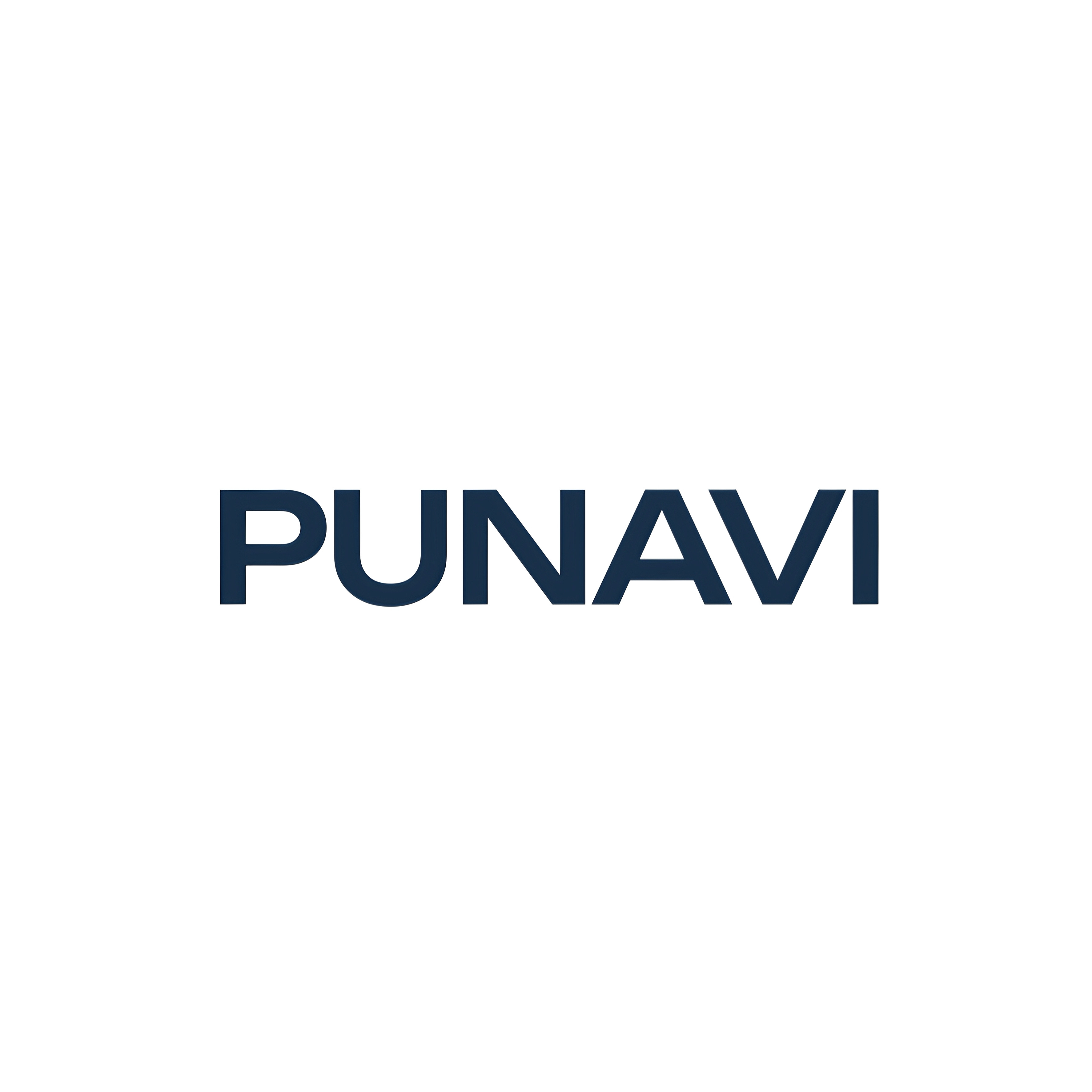 Punavi旗舰店的LOGO
