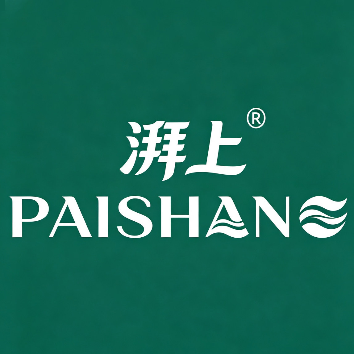湃上数码旗舰店