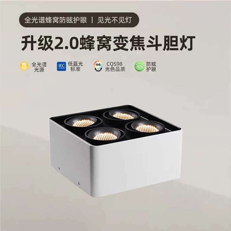 Surface-mounted square spotlight double-headed bold light led spotlight double-head downlight aisle no main light lighting round corner light