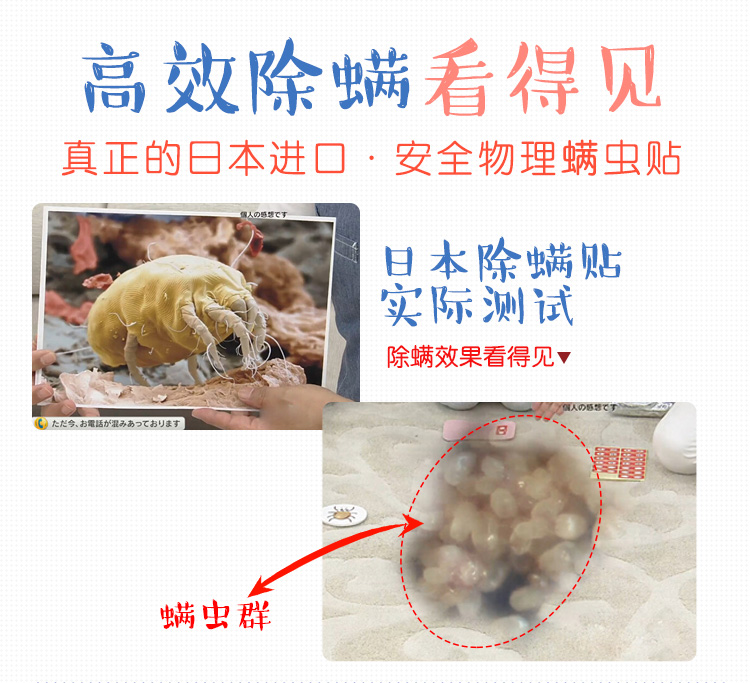 raid xịt côn trùng Nhật Bản nhập khẩu mạt dán để diệt ve ngoài mạt hút côn trùng chăn ga gối đệm dùng một lần 10 viên - Thuốc diệt côn trùng bình xịt diệt bọ chét