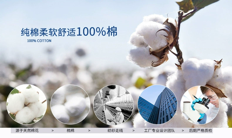 3 hộp quà tặng nam tam giác đồ lót cotton thoáng khí quần short nam 100 cotton thanh niên eo quần short đầu