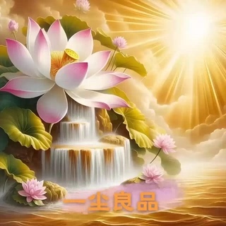 Yicheng Liangpin Bi Industrial-Grade Qian Teacher's Collection of Mother-Of-Pearl Inlay Old Song Style Light Chinese Style Cotton Coat Tsy 26438