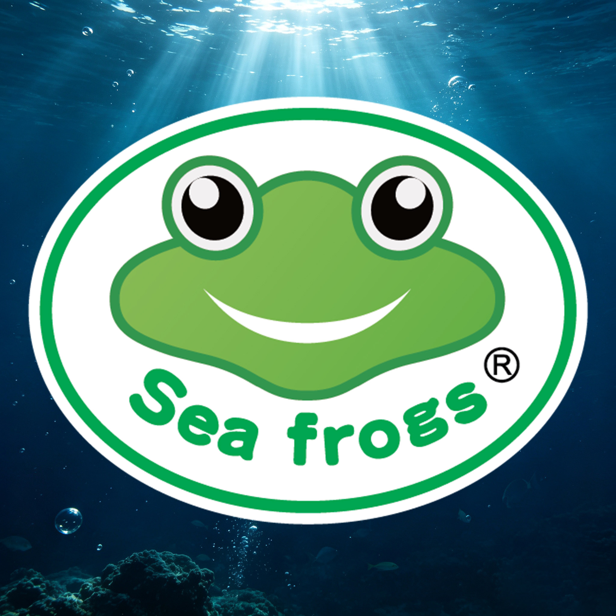 海蛙旗舰店