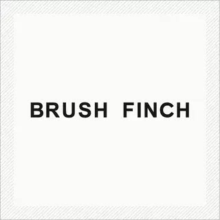 BRUSH FINCH旗舰店