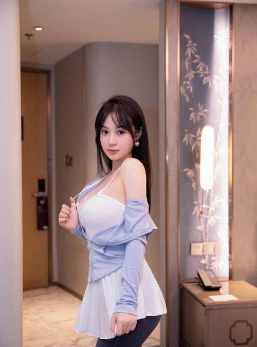 网站开发软件下载官网免费版安装登录入口与操作指南详解
