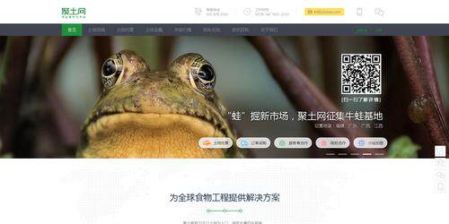 qpcr引物设计网站免费版绿色版 下载安装一步到位