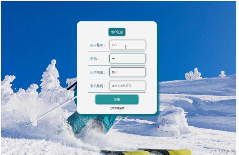 网站制作定制化服务是什么行业类型类别流程，从需求到交付全解析