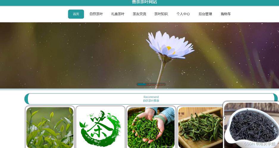 网站制作免费模板软件下载安装大全编辑教程：这样改不撞脸