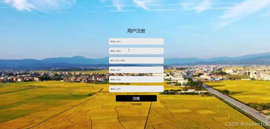 云主机与物理主机选型指南：企业IT架构升级的核心要素解析