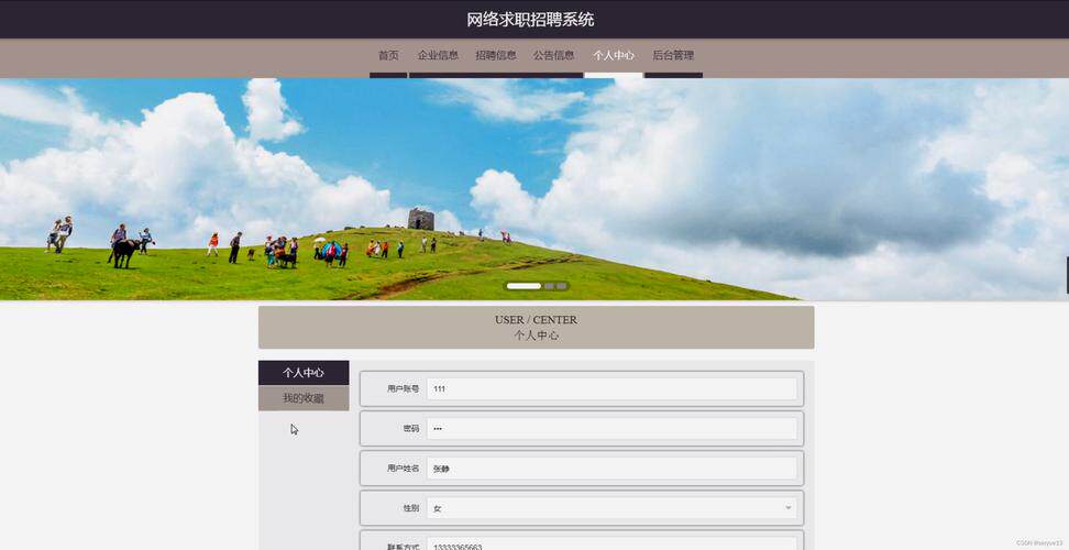 网站开发工具与平台工具收费模式对比及成本参考指南