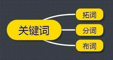 网站建设PDF版怎么制作过程的视频教程，跟着操作就会了