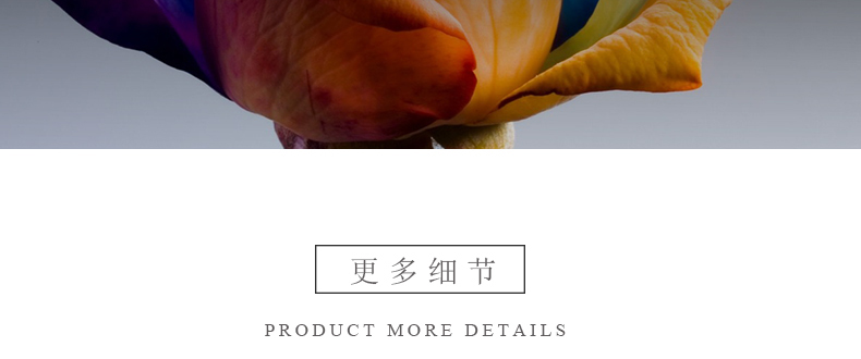 Giường nhung pha lê đệm mền đơn mảnh mùa đông ấm áp flannel trải giường thêu ren 1,8m nệm bọc Ga phủ giường