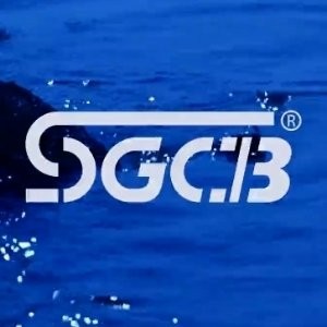 SGCB新格汽车美容用品店