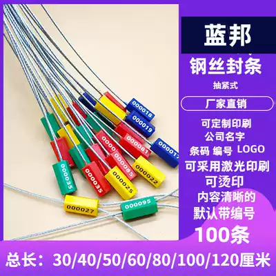 Lanbang tight steel wire seal plastic lead seal anti-theft lead seal water and electricity meter container tanker metering seal