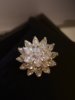 Luxurious High-End Brass Snow Lotus Zircon Brooch Fashion Clothing Fixed Anti-Exposure Corsage Atmospheric Pin Accessories