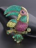 Exaggerated and Grandiose Animal Brooch with Full Rhinestone Alloy Design of a Toucan Parrot for Women, Suitable for Cross-Border Trade and Clothing Accessories
