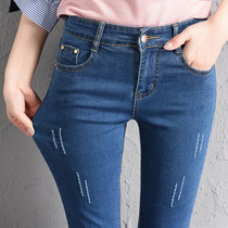  2020 new womens spring and autumn Korean version of elastic tight denim pants mid-waist 25 small size polished white small feet dark blue pants