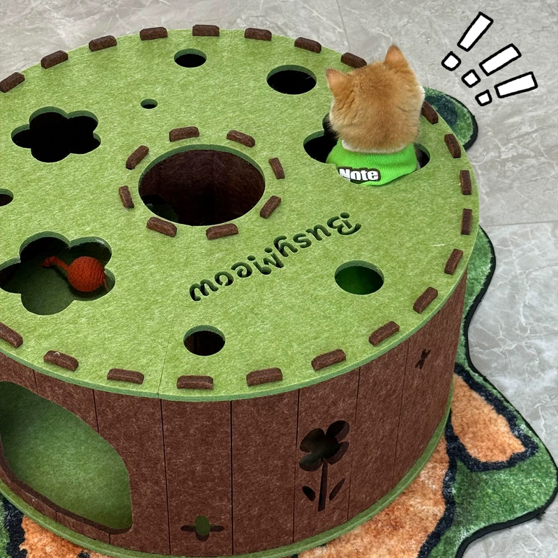 Garden Tunnel Cat House with Felt Tunnel, All-Season Cat Toy, Integrated Donut Tire Hideaway, Interactive Cat House