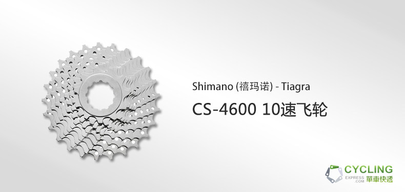 Pignon de vélo SHIMANO - Ref 2367276 Image 3