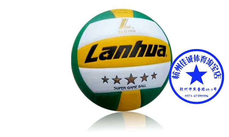 Ballon de volley-ball - Ref 2016028 Image 5