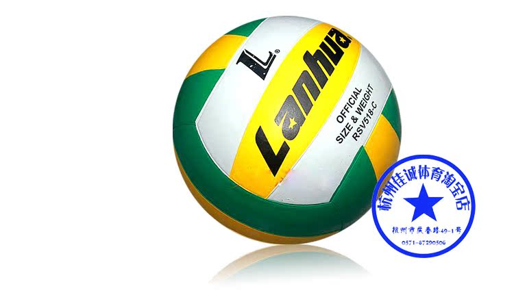 Ballon de volley - Ref 2012391 Image 5