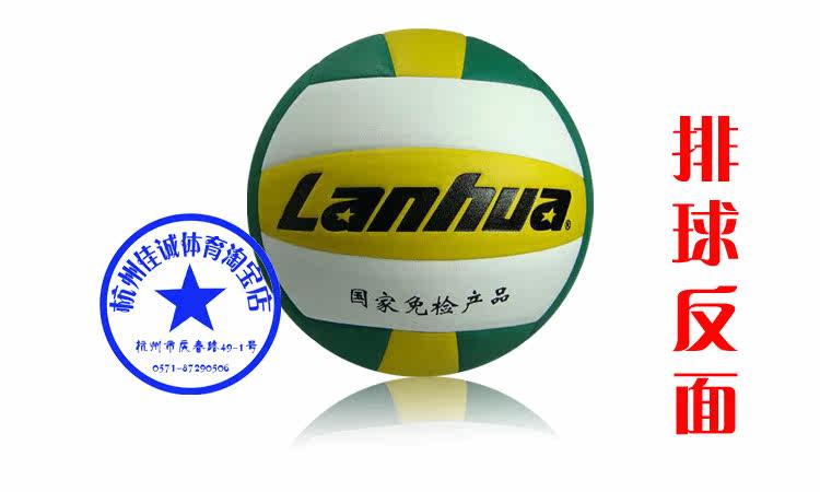 Ballon de volley-ball - Ref 2016028 Image 6