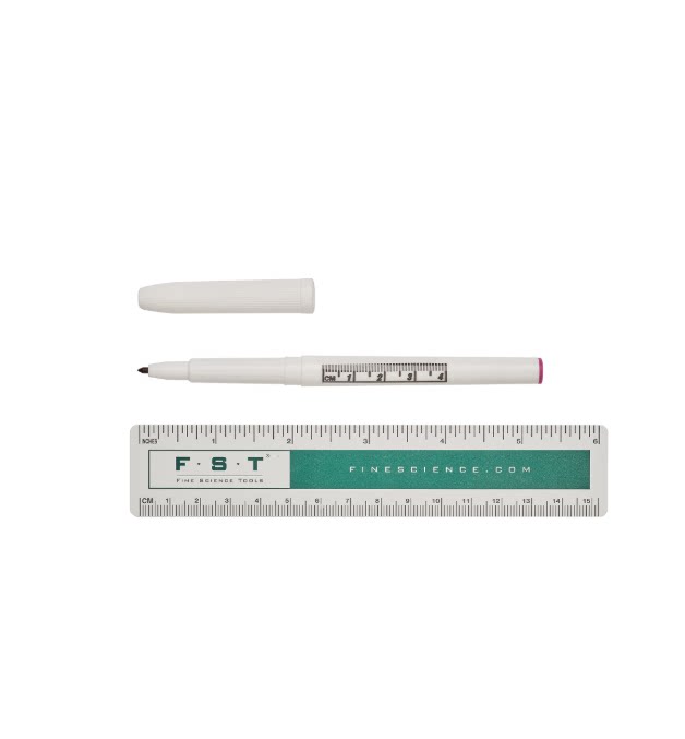 FST皮肤记号笔18000-30 Surgical Skin Marker