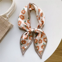 Маленький милый huahua апельсин