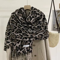 McF Leopard Cardkit