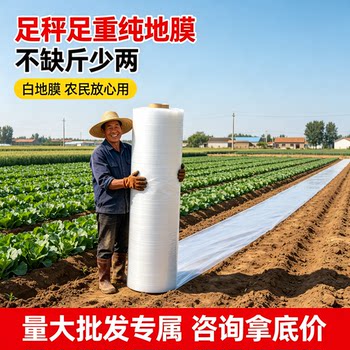 White mulch film insulation and moisturizing film thickened small shed film plastic film transparent agricultural vegetable field special film