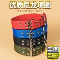 Dog collar collar collar golden retriever large dog collar collar collar small dog dog supplies