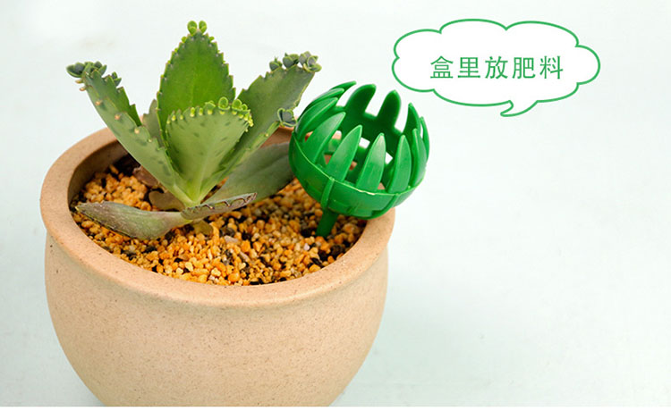 Ngọc phân bón hộp đặc biệt thụ tinh hộp làm vườn cung cấp dụng cụ làm vườn bonsai phân bón hộp vòi tăng áp tưới cây