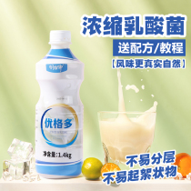 Concentrated lactic acid bacteria drink yogurt sugar maker probiotics yogurt multi-dense pulp probiotics multi-milk tea shop special