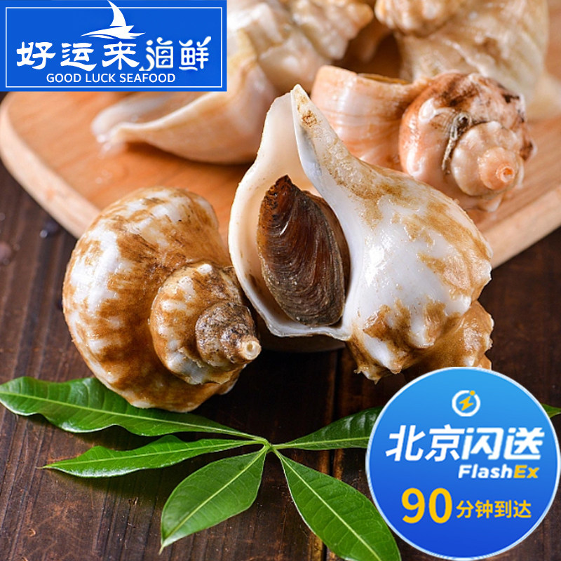 8-12 only 500g Living sea snail Snail White Snail Dalian Small Marine Snail Seafood Corner Snail Aquatic-Taobao