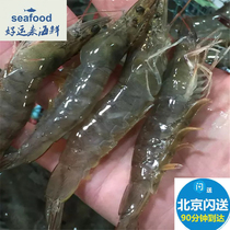 Beijing Flash Delivery Spot Promotion Fresh sea white shrimp is comparable to kiwei shrimp prawn shrimp fresh seafood