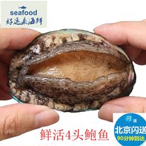 120g Beijing can flash fresh 4 heads of abalone Fresh Dalian abalone Seafood seafood shellfish full