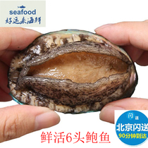 80g Beijing Flash Fresh Dalian Abalone Fresh 6 Heads of Abalone Seafood Seafood Shellfish Full