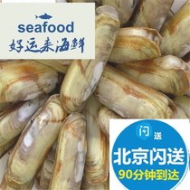 500g Beijing flash fresh clams Fresh seafood meat fat large double-headed clams without sand