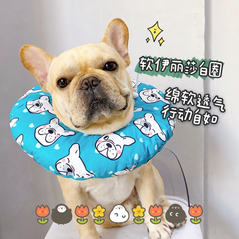 Pipi family Elizabeth soft-wring cat dog anti-licking anti-bite headgear Shame Ring Fawl Neck Ring Kokie Chai Dog