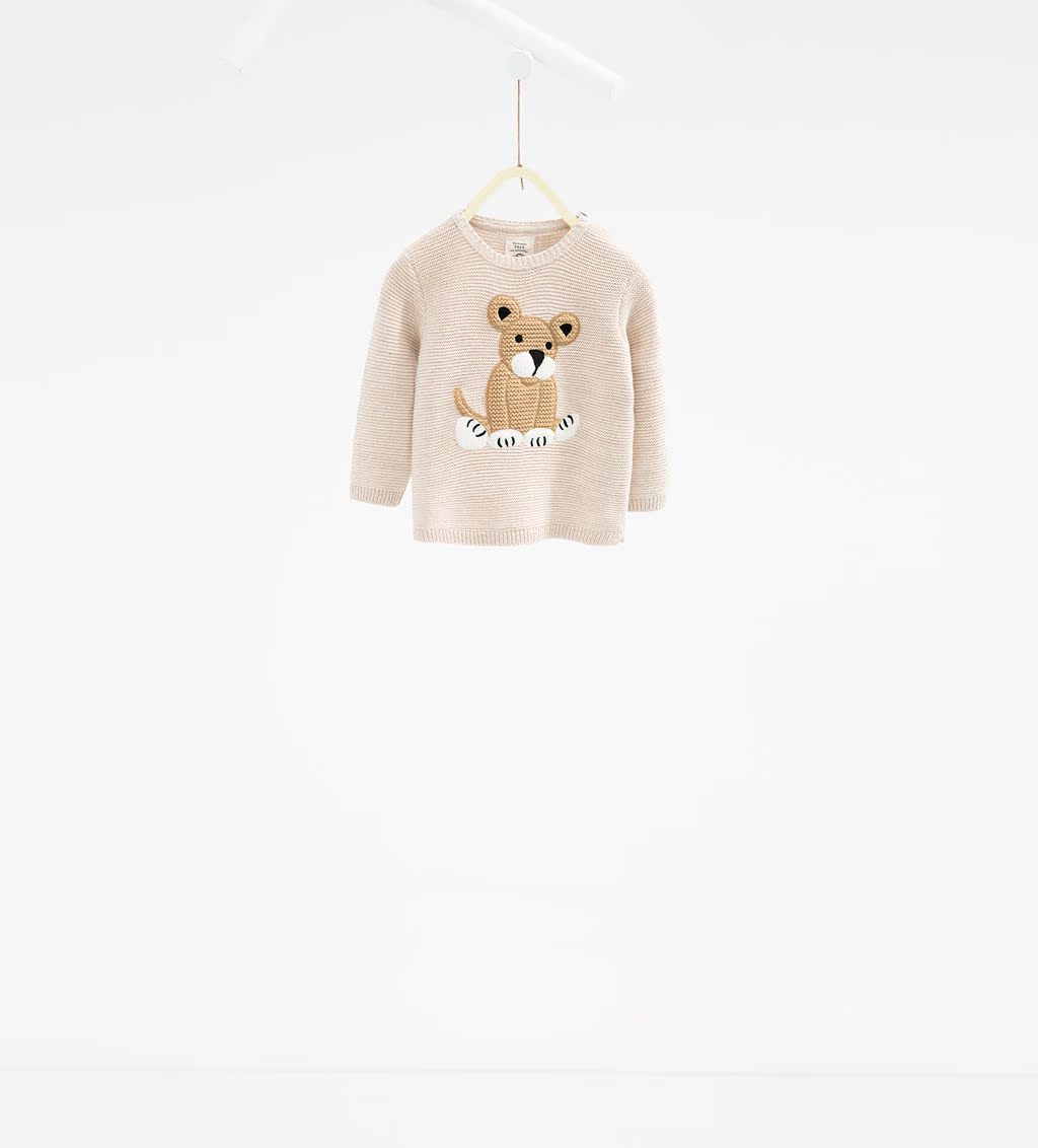 Pull garcon ZARA à manche longue - Ref 2101373 Image 17