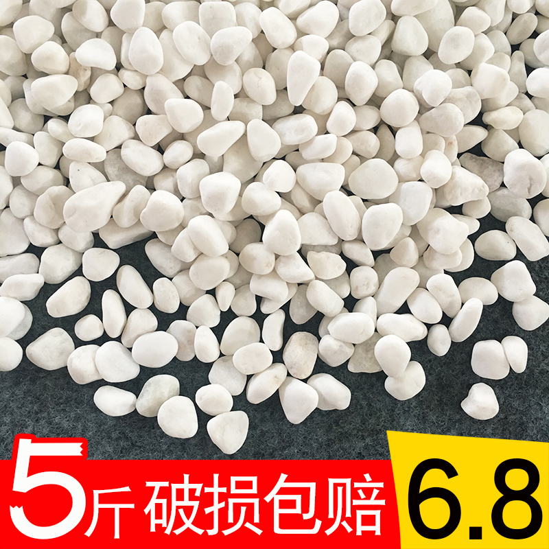 Black fish pool special flower pots for orchids The pebble multimeat is the paving stone earth to decorate the small stone vase D